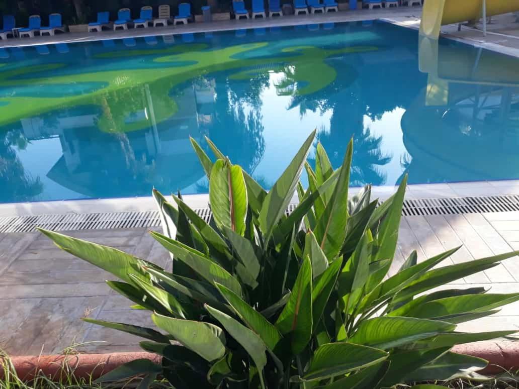 Club Jovia Kemer Hotell Antalya Exteriör bild