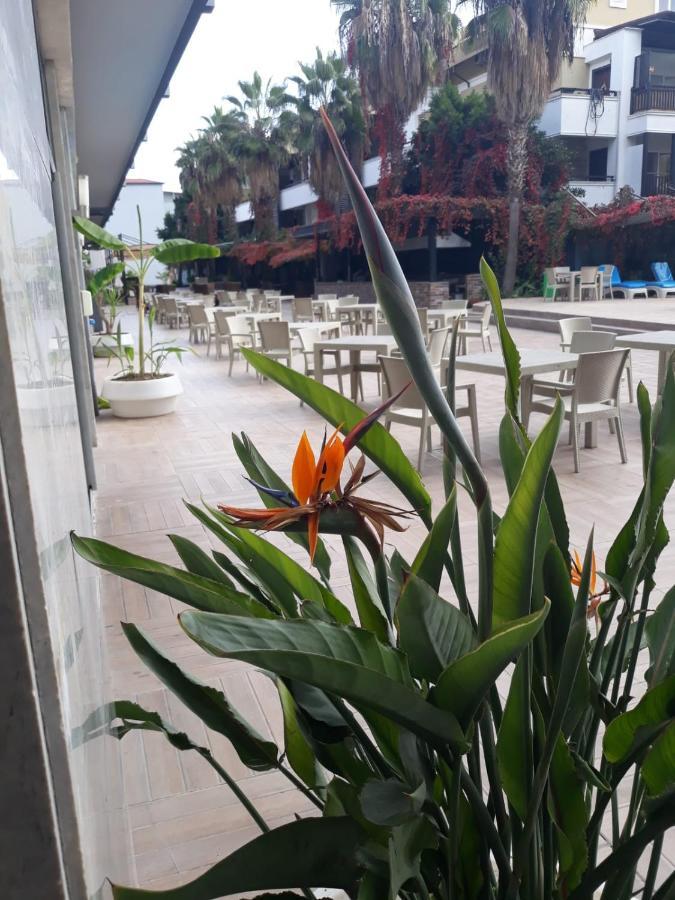 Club Jovia Kemer Hotell Antalya Exteriör bild